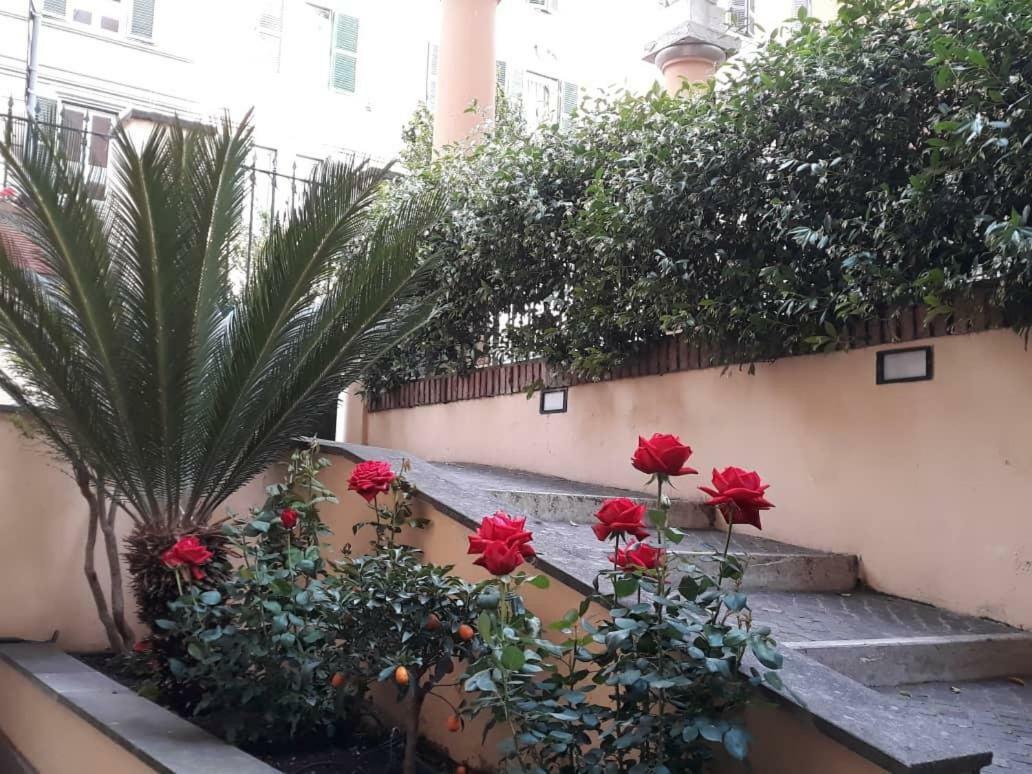 Pensionat Rosa Rom